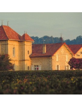 Château Pipeau domaine